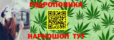 прущие крисы Тверь