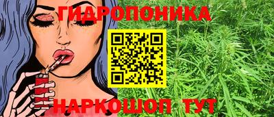 ГАЛЛЮЦИНОГЕННЫЕ ГРИБЫ Тара
