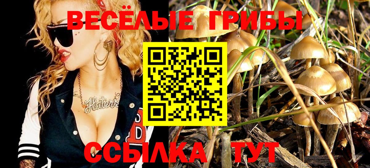 Псилоцибиновые грибы Cubensis Октябрьский