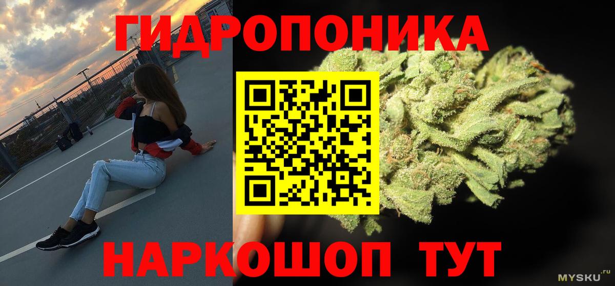 Каннабис планчик Октябрьский